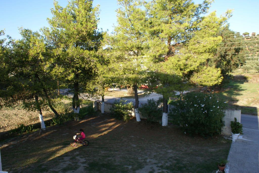 Tota Studios Tsilivi  Exterior photo